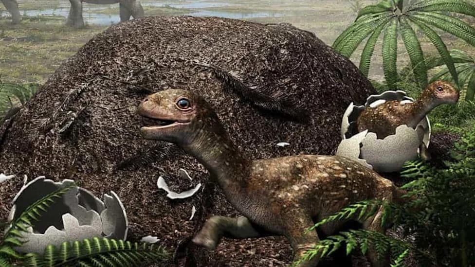 Titanosaurs May Have Built Compost-Style Mound Nests To Incubate Eggs In Cold Patagonia